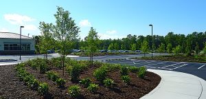 Eximm provide Commercial landscaping services