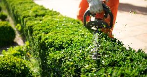 Landscape Management and upkeep services