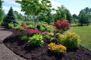 Softscaping solutions for residential and commercial
